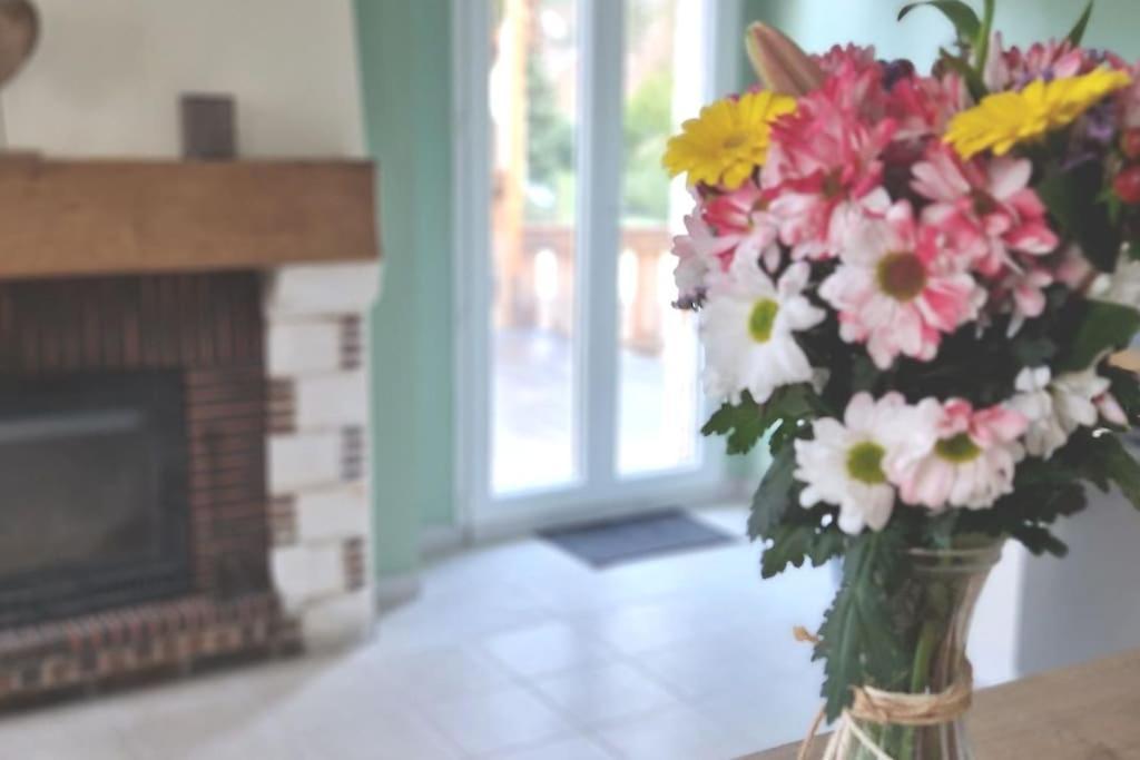 La Maison Des Delices Dosches ภายนอก รูปภาพ